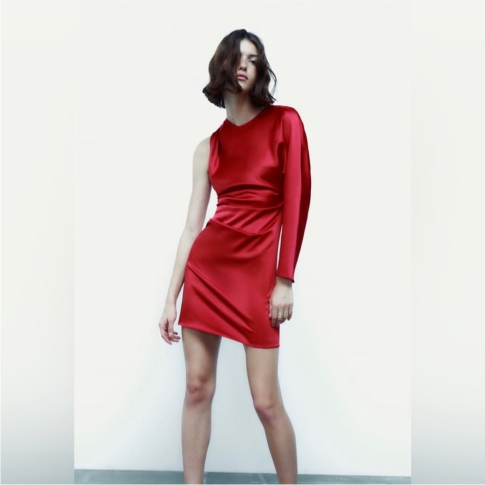 Brand New Zara dress size L